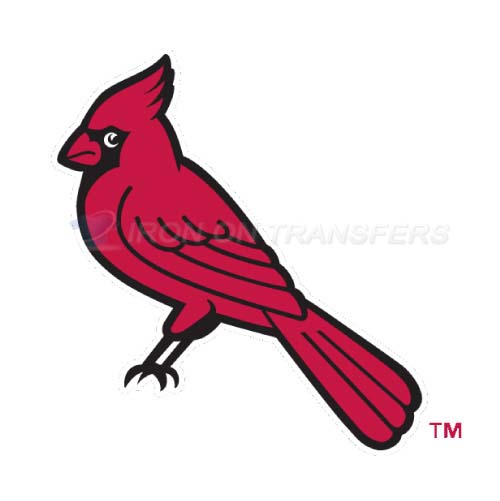 Memphis Redbirds Iron-on Stickers (Heat Transfers)NO.8178